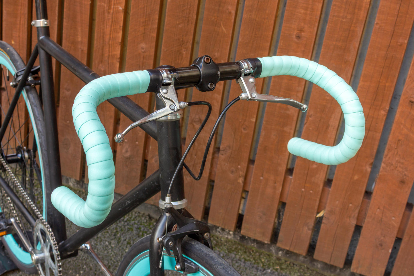 No Logo Fixie (2010) - Minimalist Style, Maximum Performance