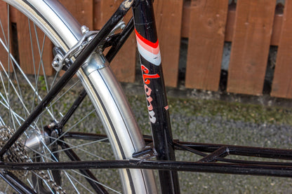 Raleigh Ebony 1980s E-Vintage electric classic ladies bike