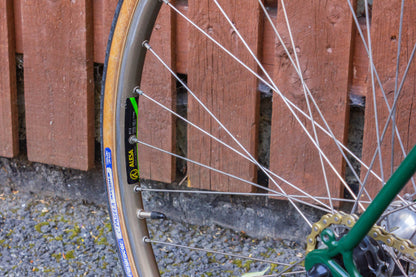 Gazelle Sport Vintage Single Speed Custom Build