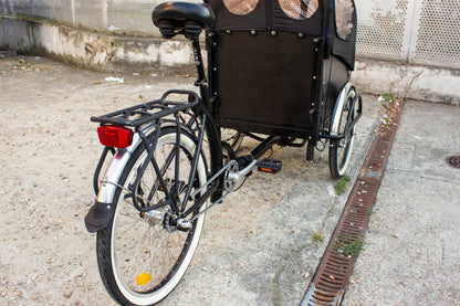 Cargo Tricycle Nexus fully serviced Children or goods