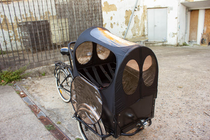 Cargo Tricycle Nexus fully serviced Children or goods