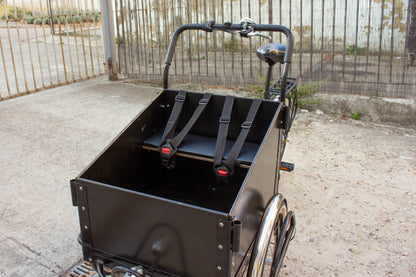 Cargo Tricycle Nexus fully serviced Children or goods