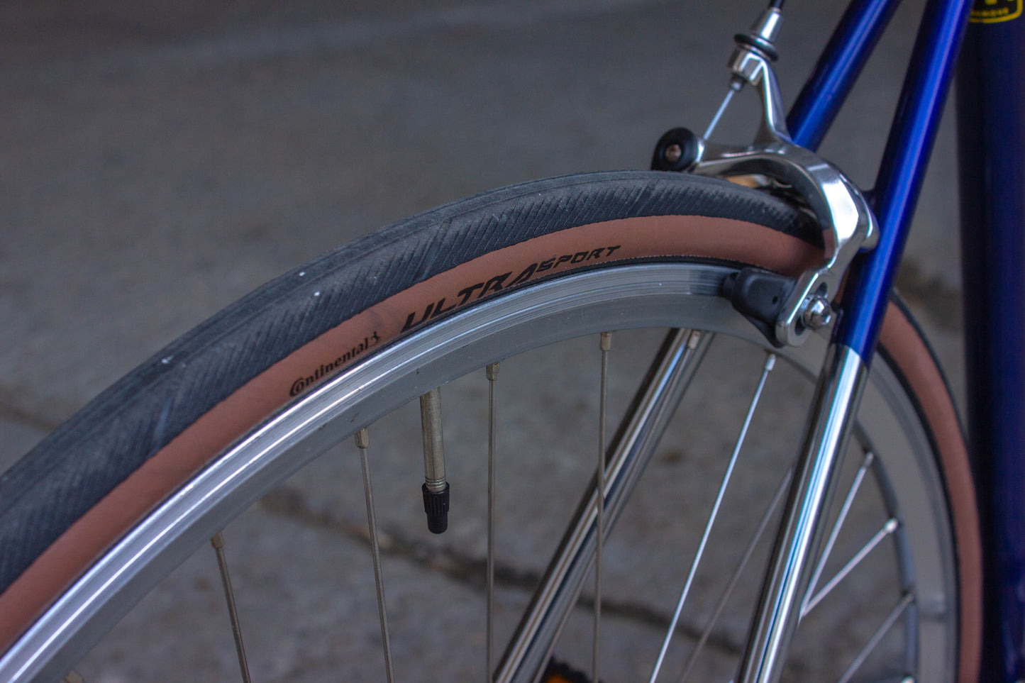 Bianchi Pista Via Brera Custom Built Collectable full restore 1of1